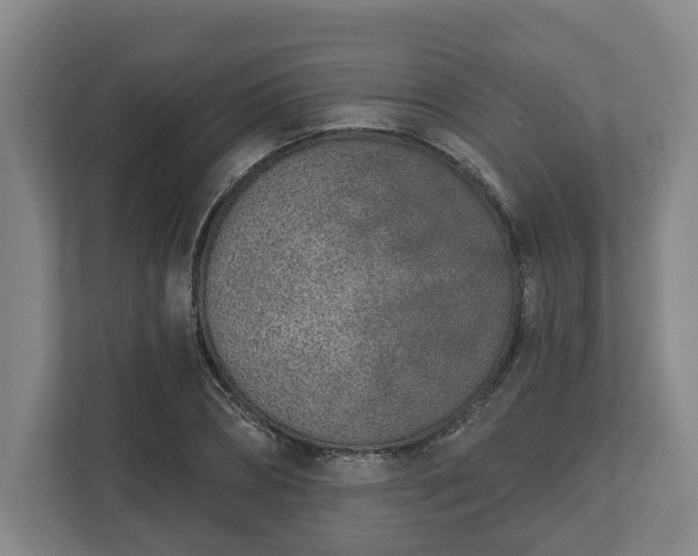 X0000113100882200909041224