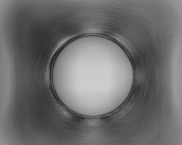 X0000113100886200909041224