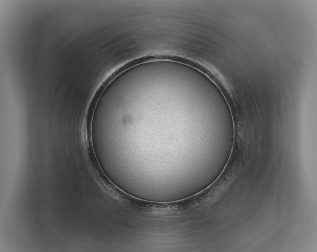 X0000113100887200909041224