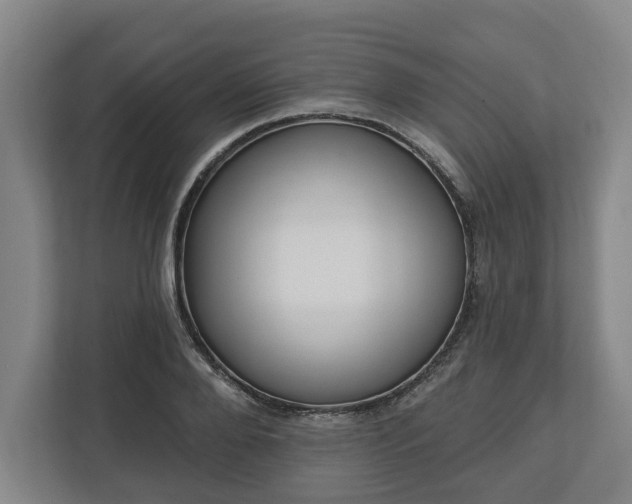 X0000113100888200909041224