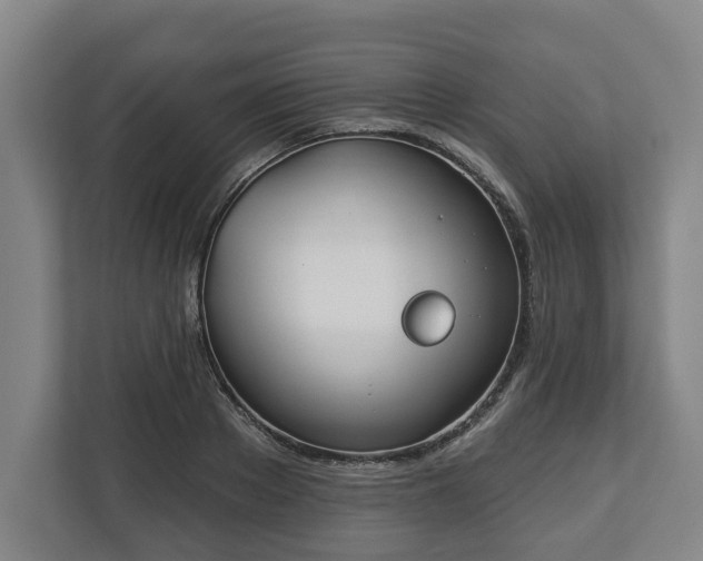 X0000113100889200909041224