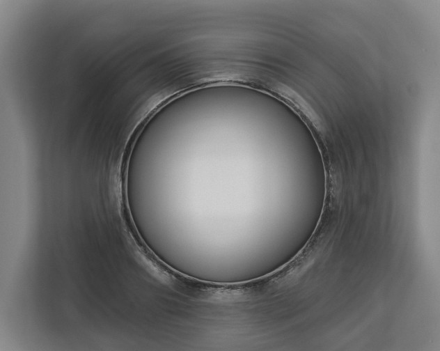 X0000113100890200909041224