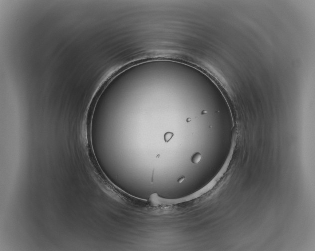 X0000113100891200909041224