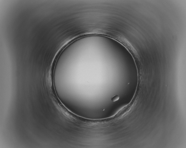 X0000113100892200909041224