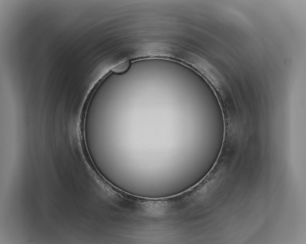 X0000113100893200909041224