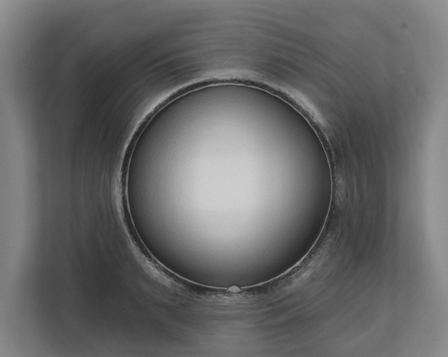 X0000113100895200909041224