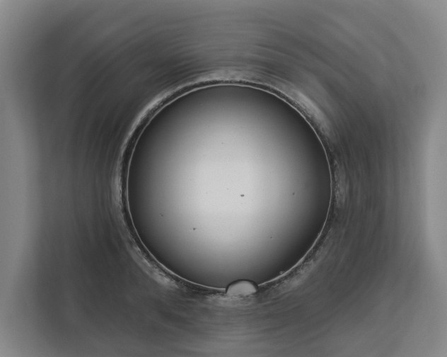 X0000113100896200909041224