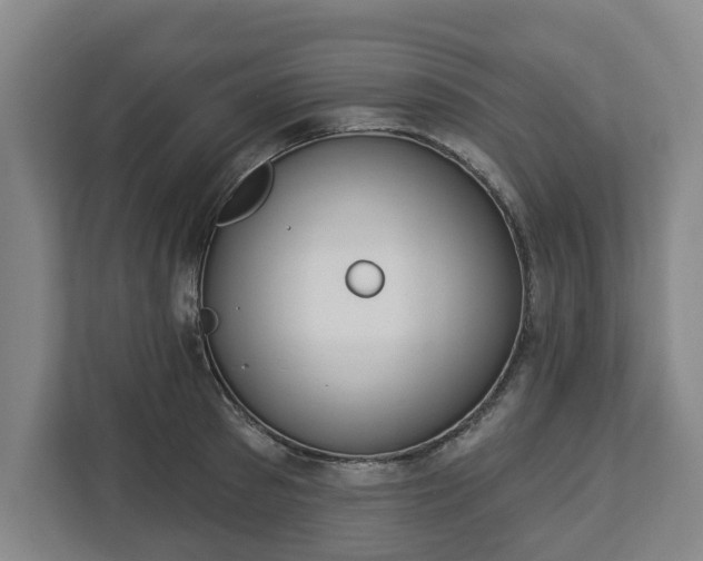 X0000113100897200909041224