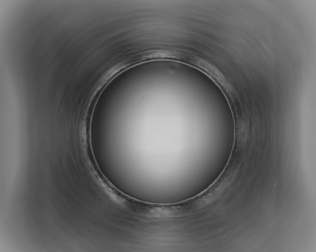 X0000113100898200909041224