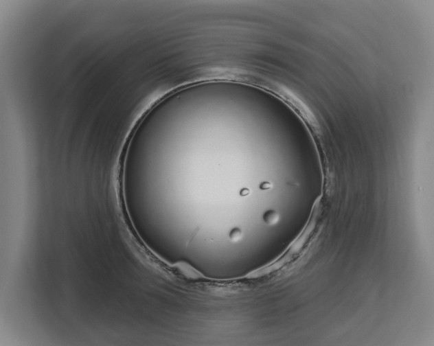 X0000113100899200909041224