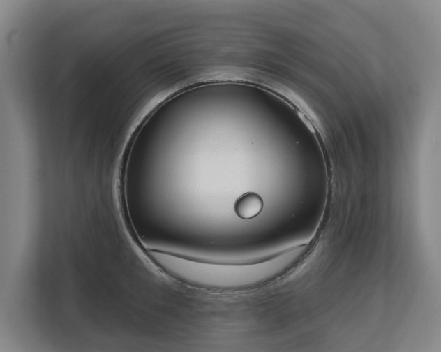 X0000113100901200909041224