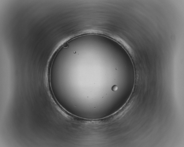 X0000113100902200909041224