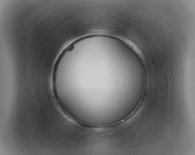 X0000113100904200909041223