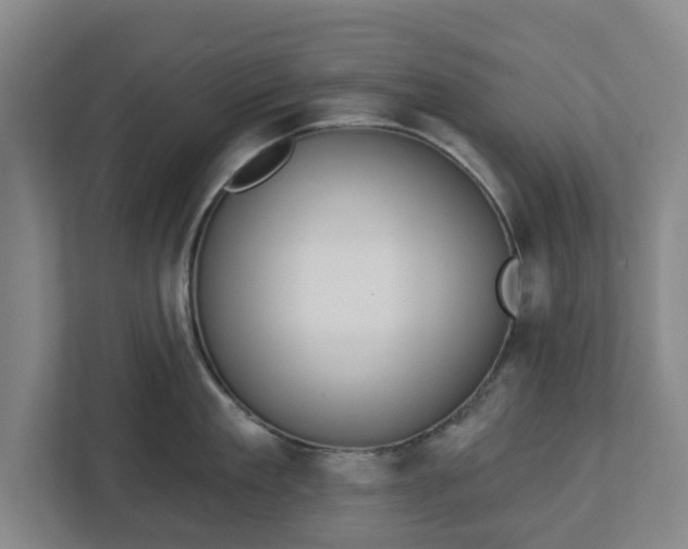X0000113100909200909041223