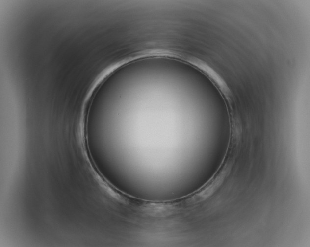 X0000113100910200909041223