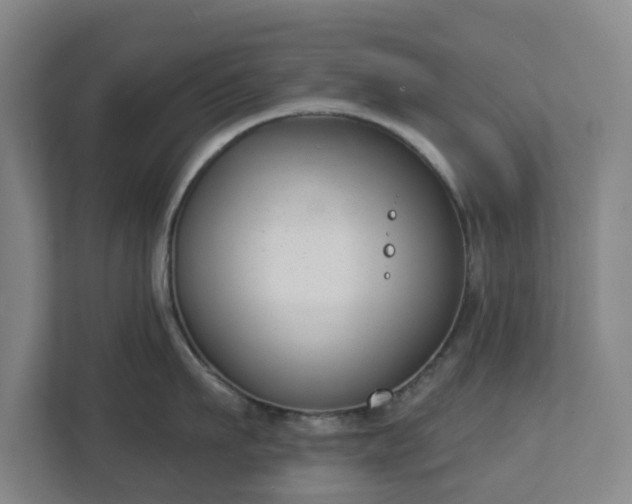 X0000113100911200909041223