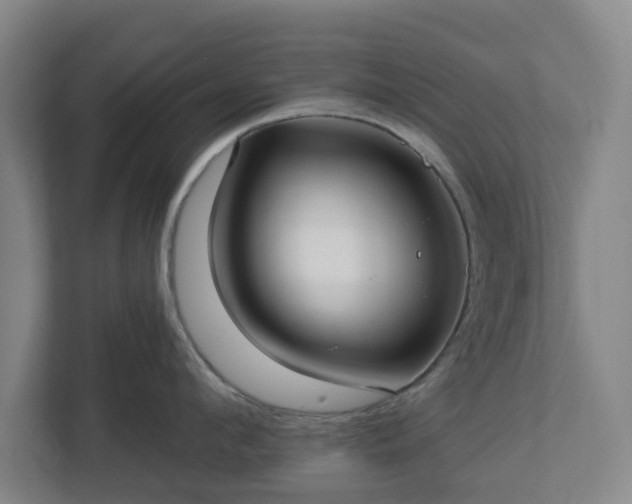 X0000113100912200909041223