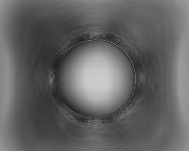 X0000113100914200909041223