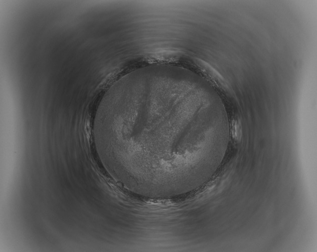 X0000113100915200909041223