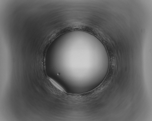 X0000113100916200909041223