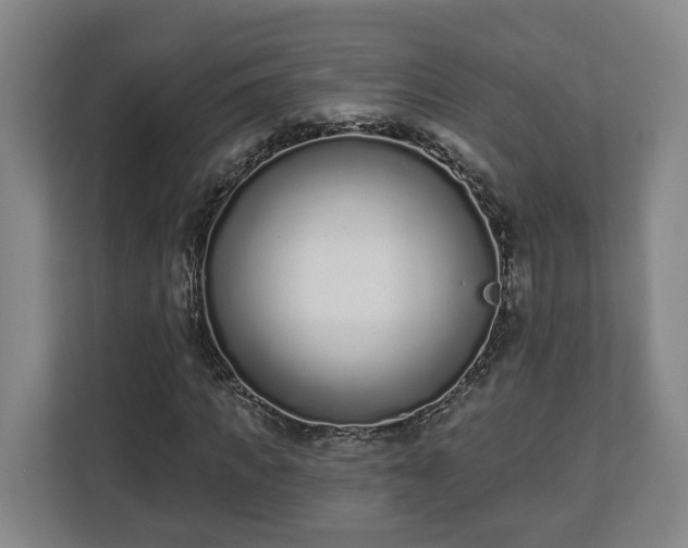 X0000113100917200909041223