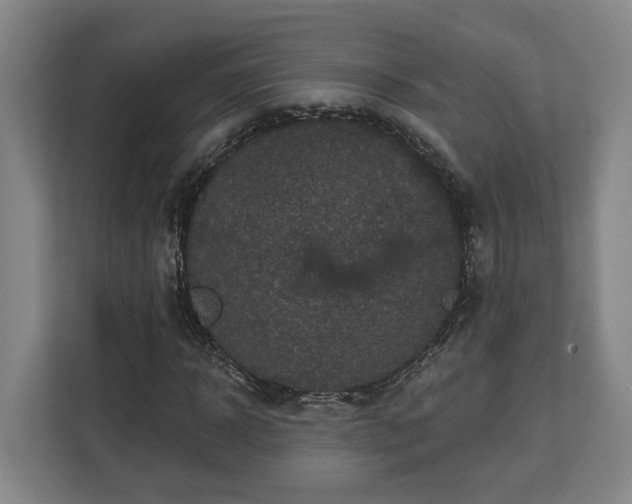 X0000113100918200909041223