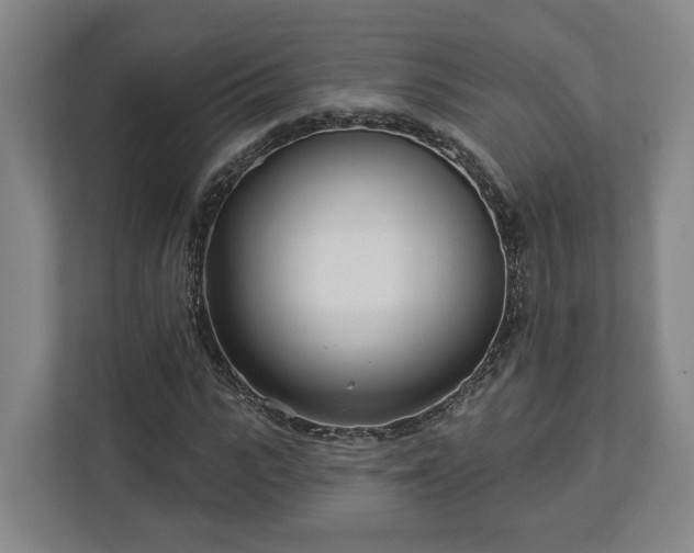 X0000113100919200909041223