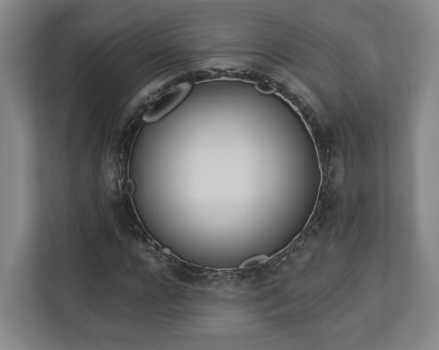 X0000113100920200909041223