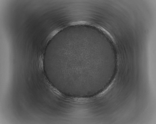 X0000113100921200909041223