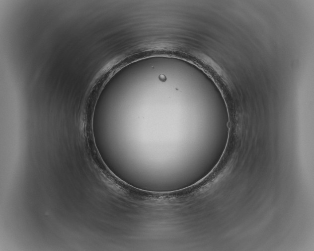 X0000113100922200909041223