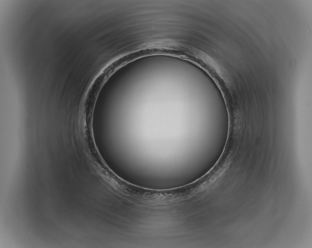 X0000113100923200909041223