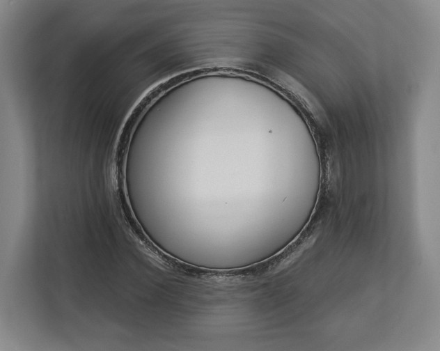 X0000113100924200909041223
