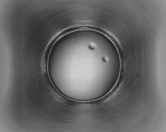 X0000113100925200909041223