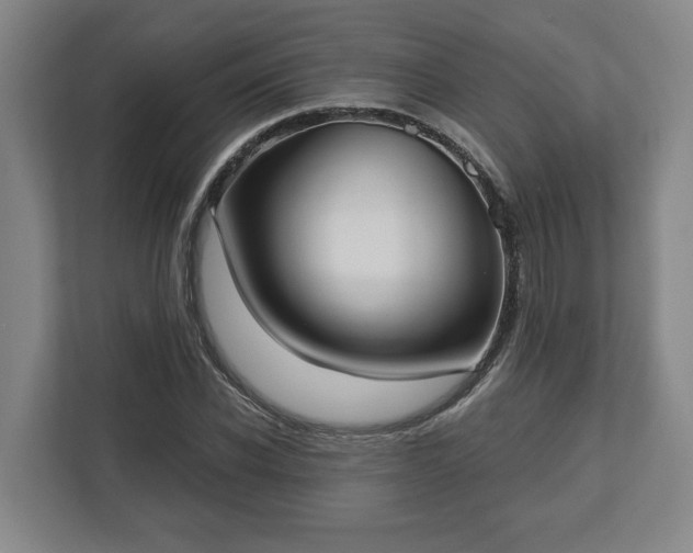 X0000113100926200909041223