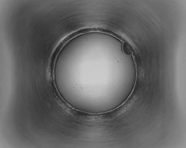 X0000113100927200909041223