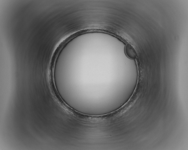 X0000113100928200909041223