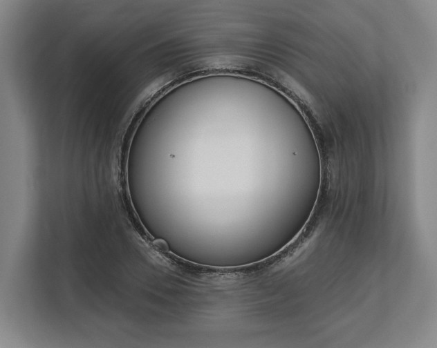 X0000113100930200909041223