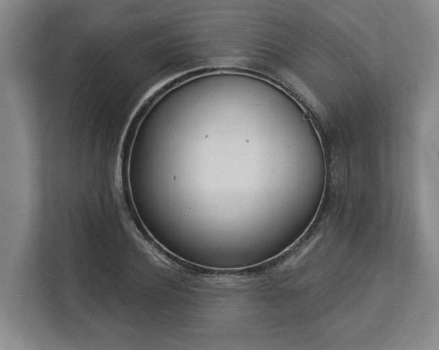 X0000113100932200909041223