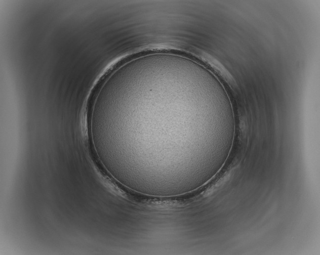 X0000113100934200909041223