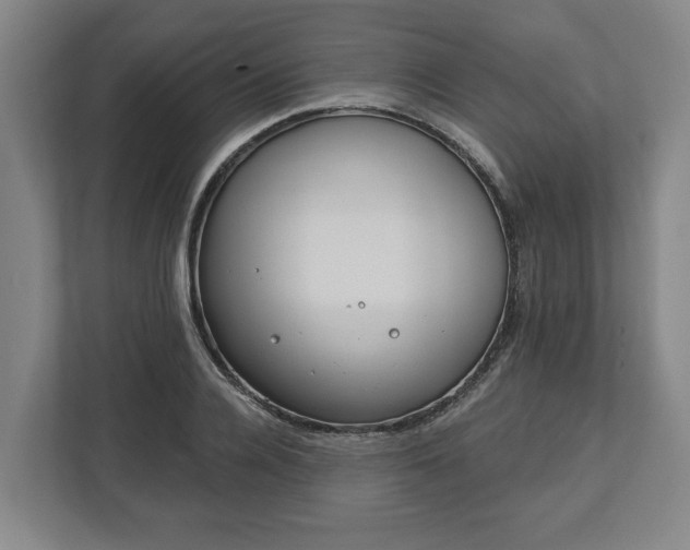 X0000113100936200909041223