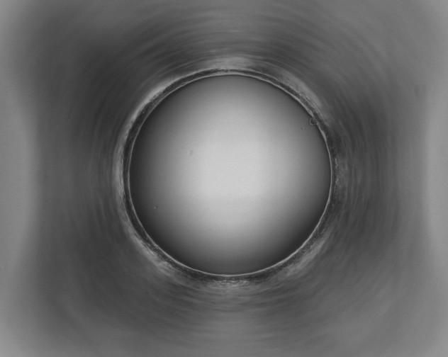 X0000113100939200909041223