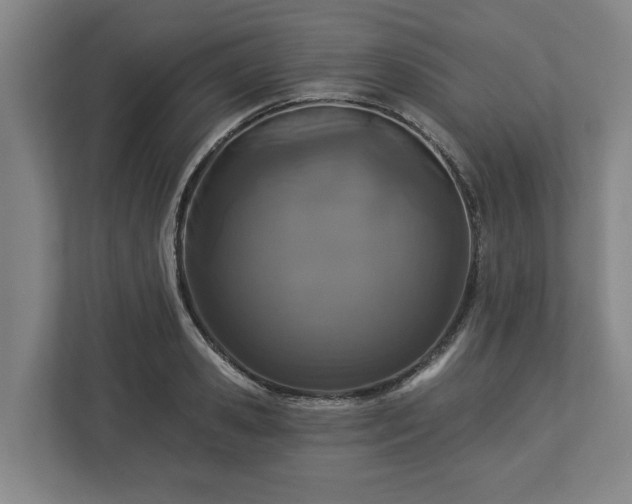X0000113100941200909041223