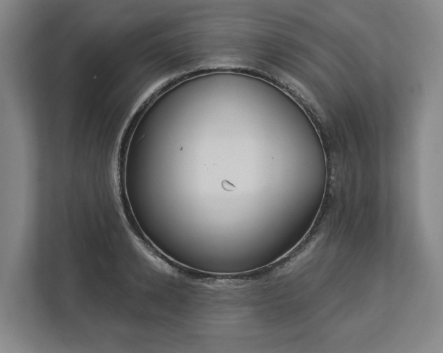 X0000113100942200909041223