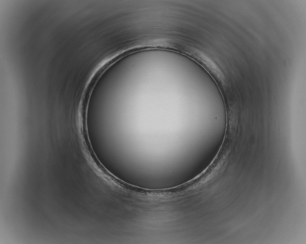 X0000113100944200909041223