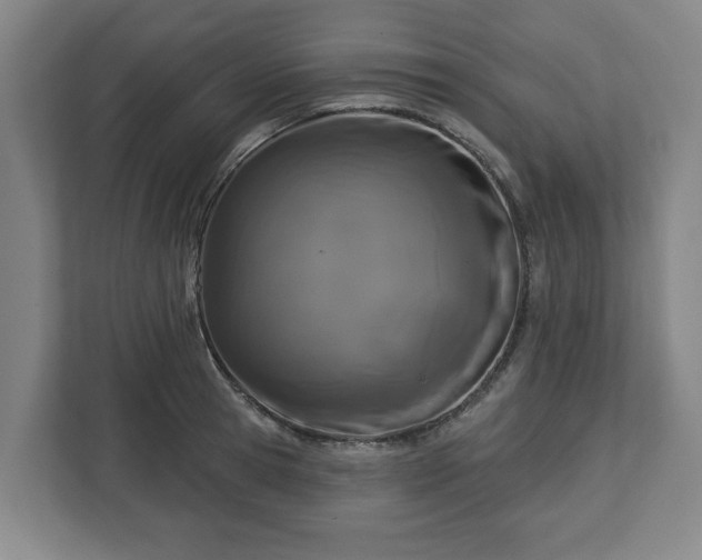 X0000113100945200909041223