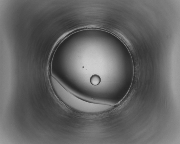 X0000113100948200909041223