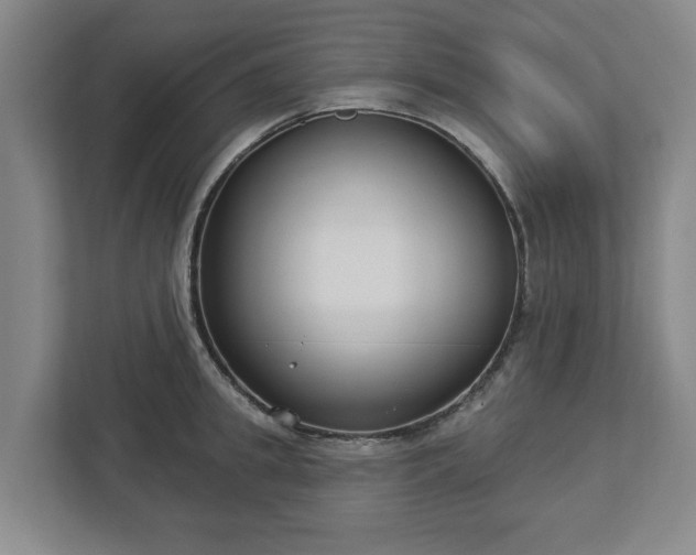 X0000113100949200909041223