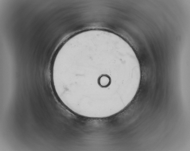 X0000113100950200909041223