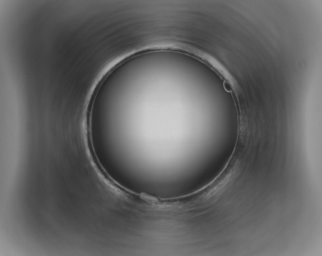 X0000113100951200909041223