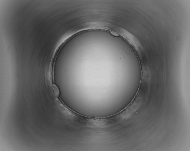 X0000113100952200909041223